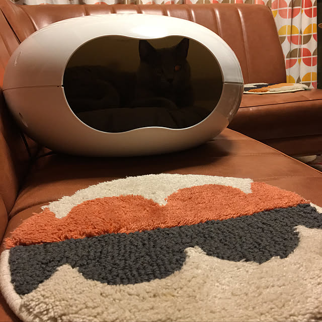 ikettenさんの実例写真