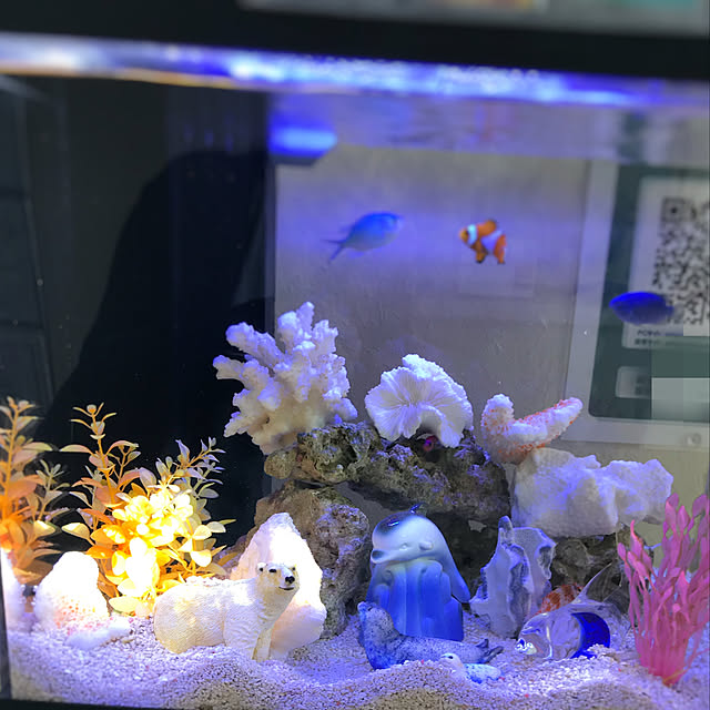 collonさんの実例写真