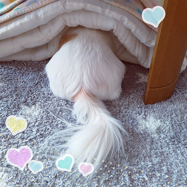 yuuyuu619さんの実例写真