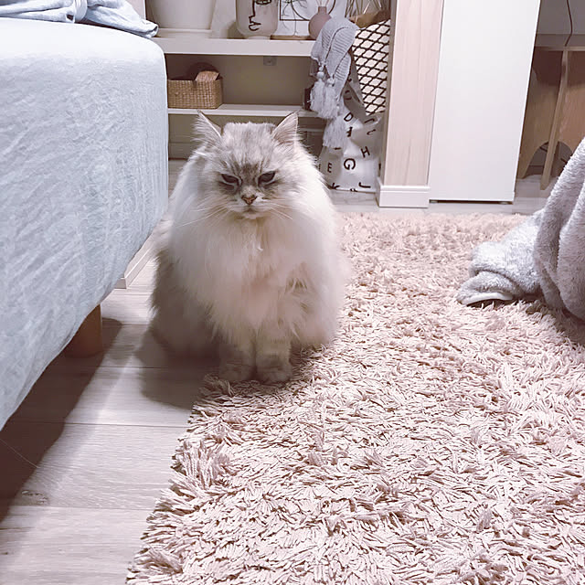 moon.mさんの実例写真