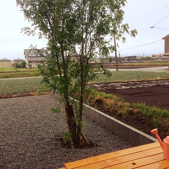 bloomさんの実例写真