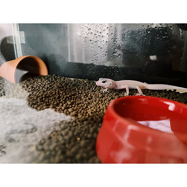 w_end_0625さんの実例写真