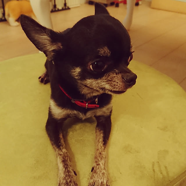 Bienvenueさんの実例写真