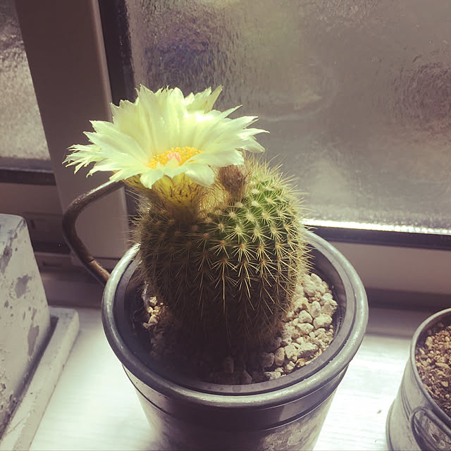 tommy0918さんの実例写真