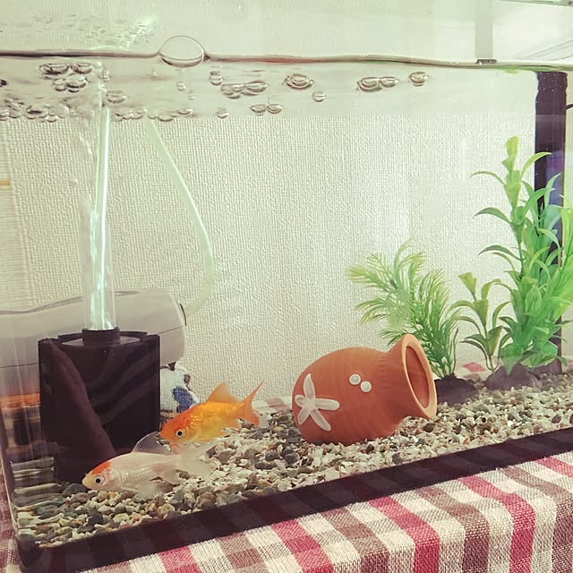 piyopiyoさんの実例写真