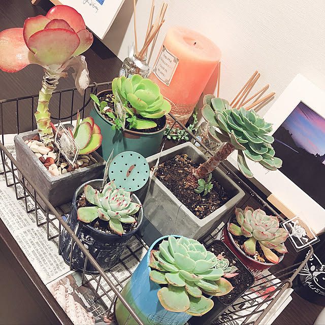 craneさんの実例写真