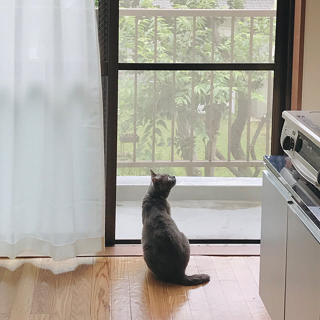 hiさんの実例写真
