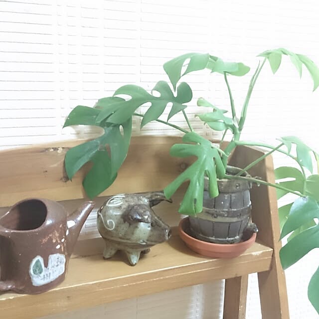aricoyaさんの実例写真