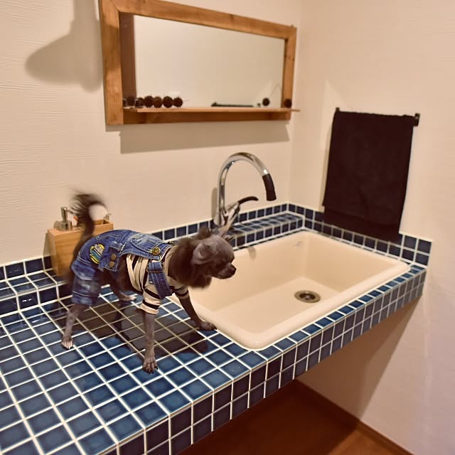 naeさんの実例写真