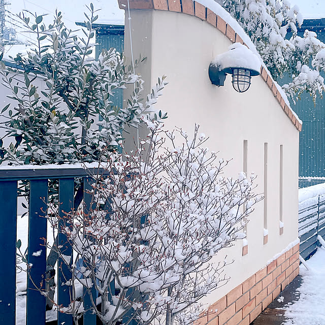 rinoさんの実例写真