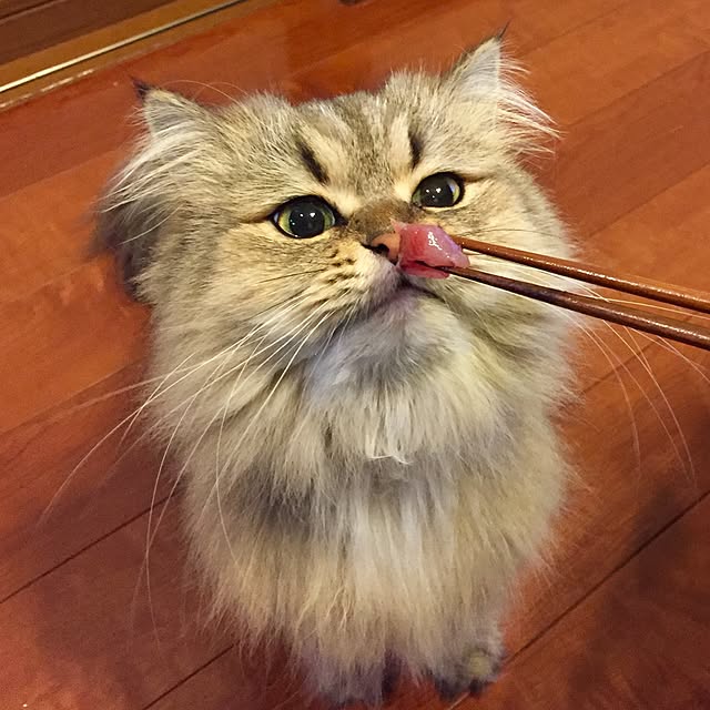 butachanさんの実例写真