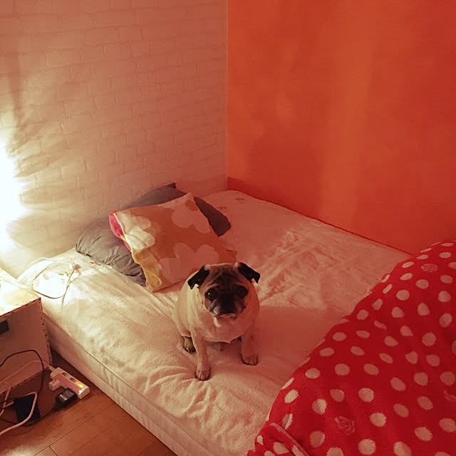 suguruさんの実例写真