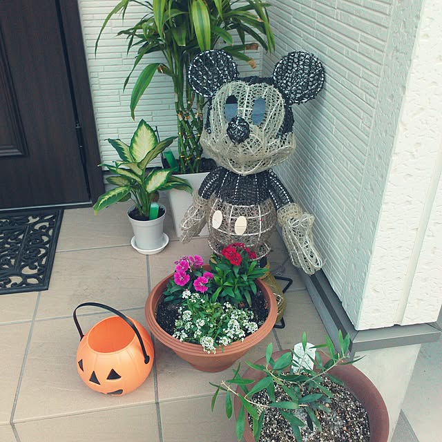 midorinoutuboさんの実例写真