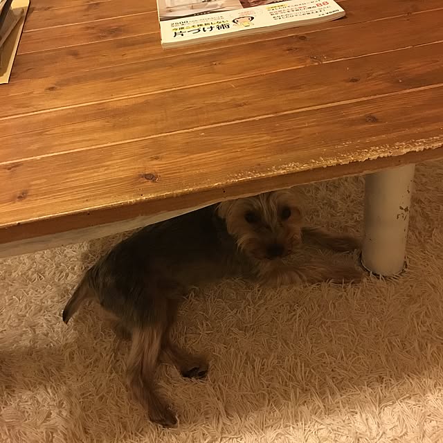 mayuoさんの実例写真