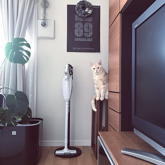 hiyupan88さんの実例写真