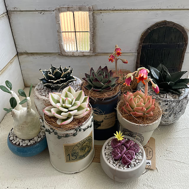 yoko_petitbonheurさんの部屋