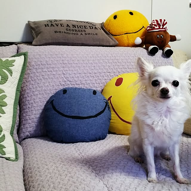 mananaさんの実例写真