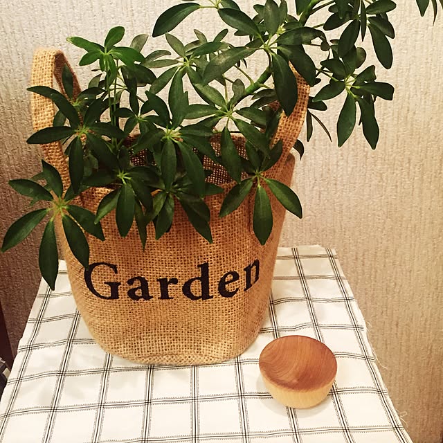 sumireさんの実例写真