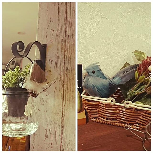 部屋全体/鳥の置物/インコが好き♡のインテリア実例 - 2016-03-13 22:13:19