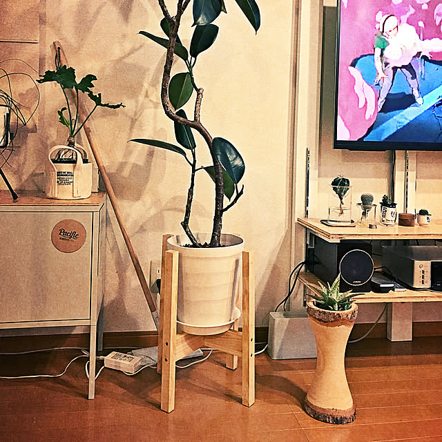 PiTHさんの実例写真