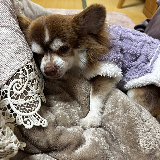 chIoeさんの部屋