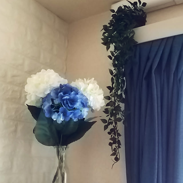 noaさんの実例写真