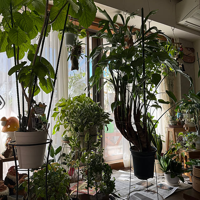 Aqettyさんの部屋