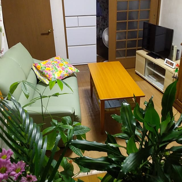 tomoko.tk1130Tomさんの実例写真