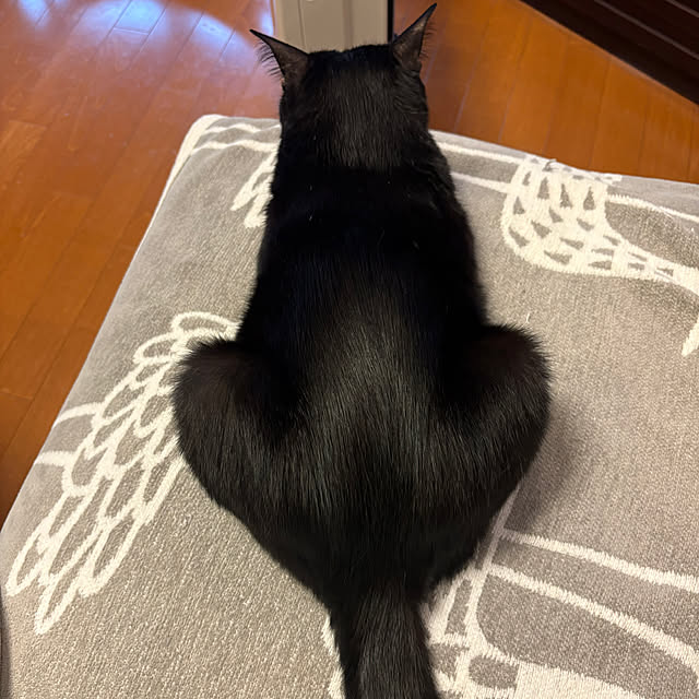 mameazさんの部屋