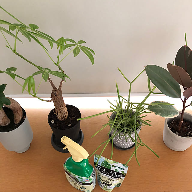 eriさんの実例写真