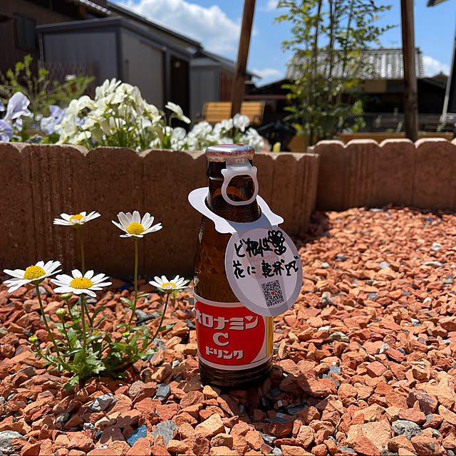 ammyさんの実例写真