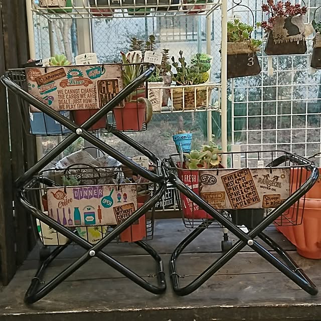 jiuさんの実例写真