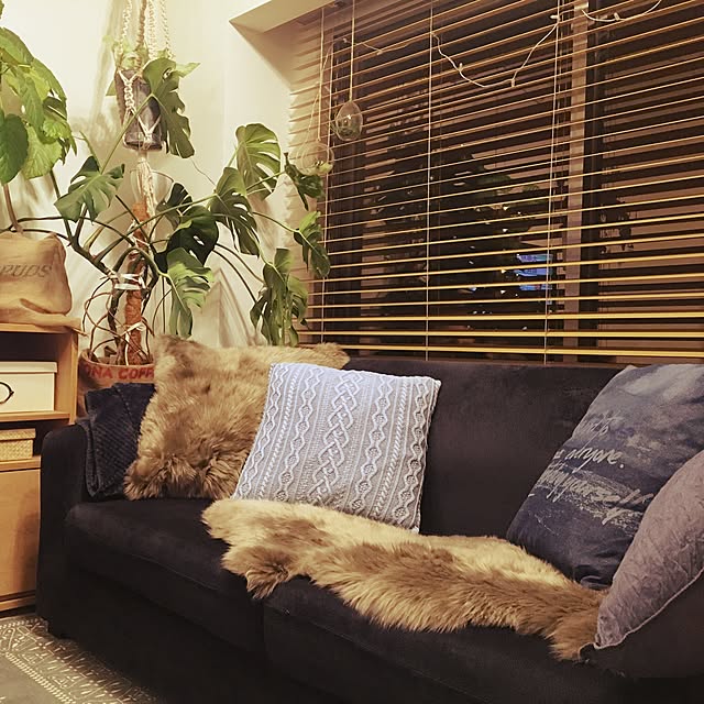 toguayaさんのお部屋の写真