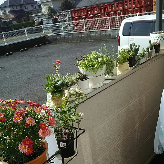 naopyiさんの実例写真