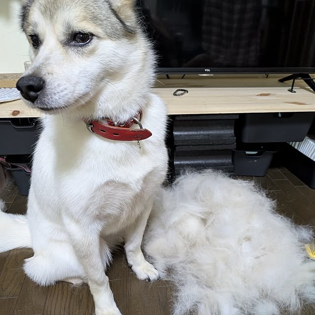 asaさんの部屋