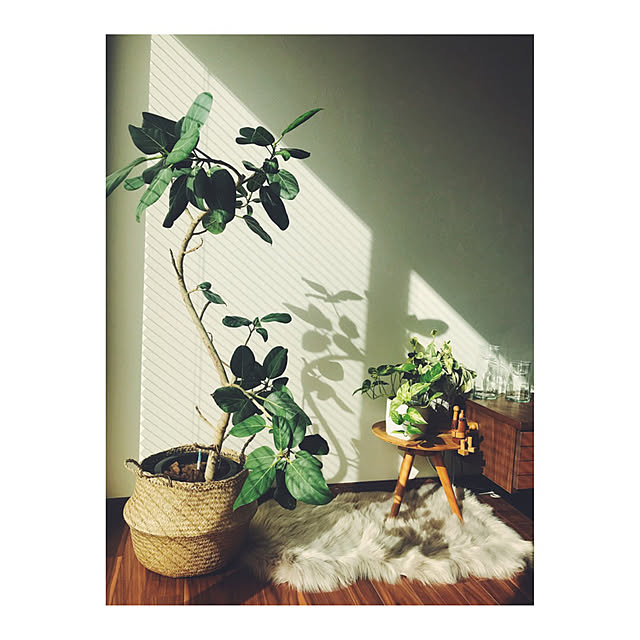 miiksさんの実例写真