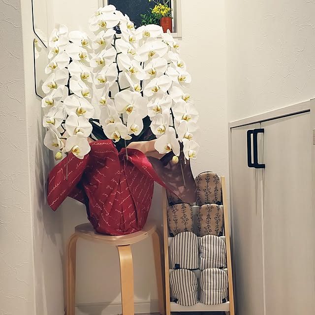 komadoさんの部屋