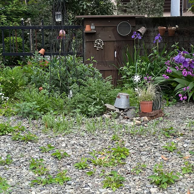 kougaitaさんの実例写真