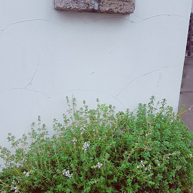 natyenaoさんの実例写真