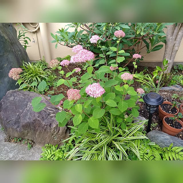 RUrumoさんの実例写真