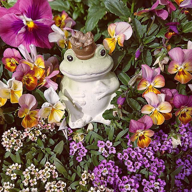 nanさんの実例写真