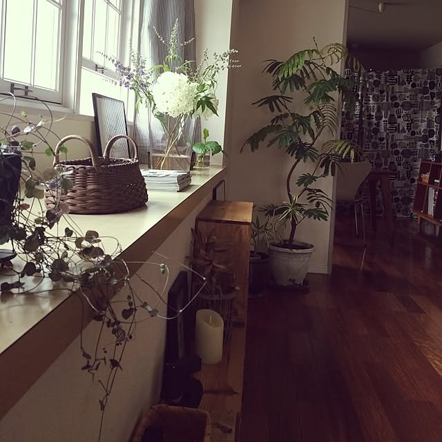 naonaoさんの実例写真
