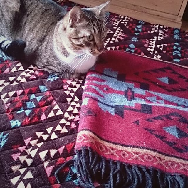 Lukiさんの実例写真