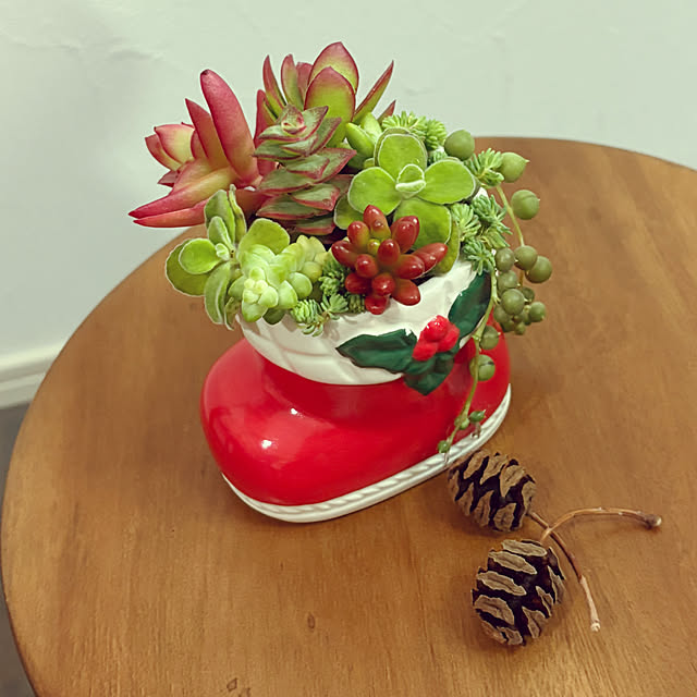 寄せ植え グリーンネックレスのおしゃれなアレンジ・飾り方の 寄せ植え グリーンネックレスのおしゃれなアレンジ・飾り方の