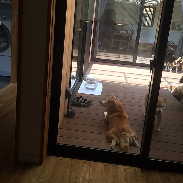 Chuppeetaさんの実例写真