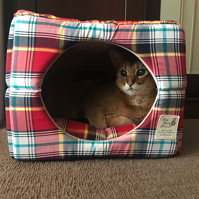 aby_nyanさんの実例写真