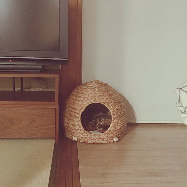 anさんの実例写真