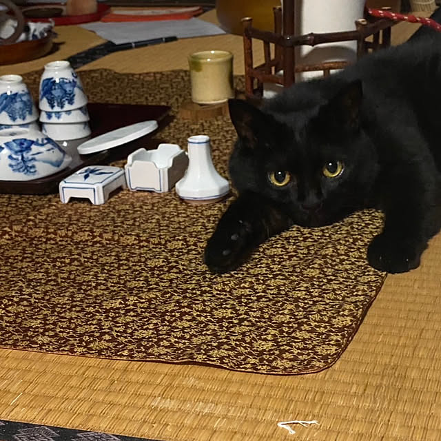 uraraさんの実例写真