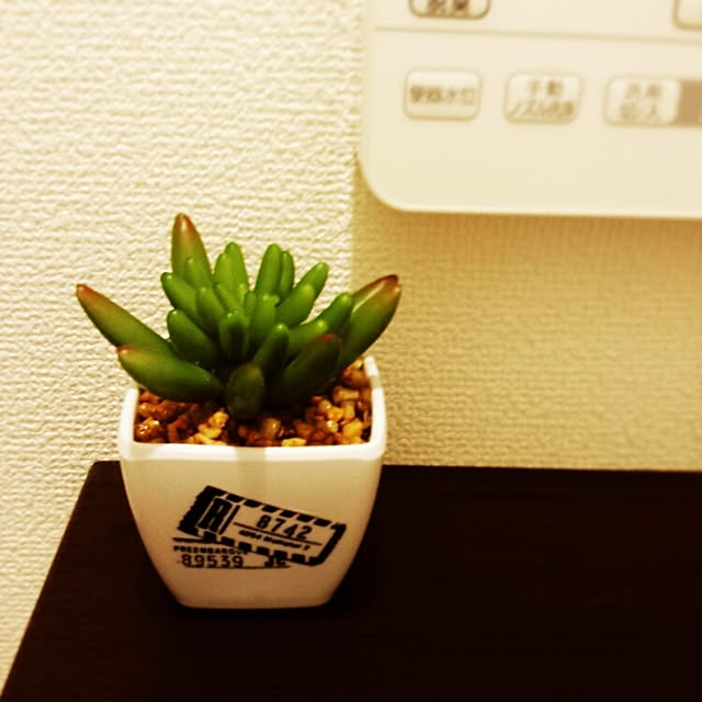 Rlovesyucaさんの実例写真