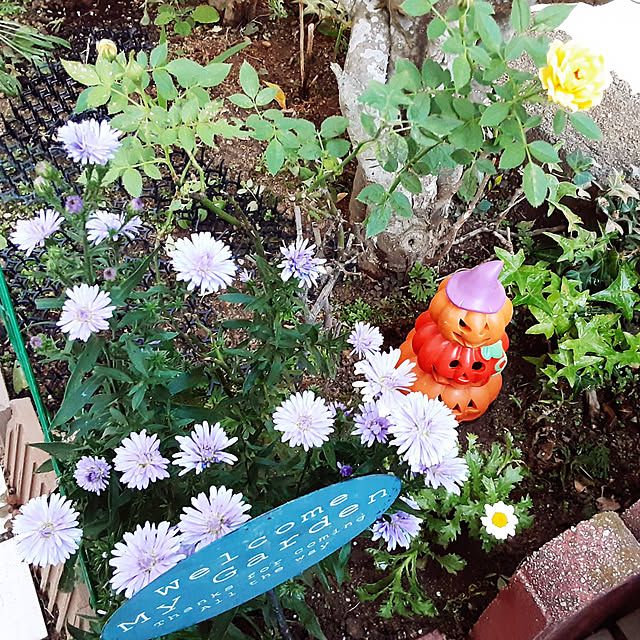 katさんの実例写真